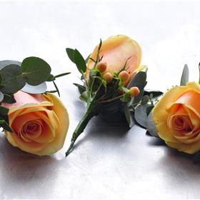 fwthumbABT_HJ5_WHT_021.jpg